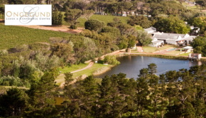 Ongegund sm